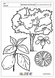 Ağaç boyama sayfaları 